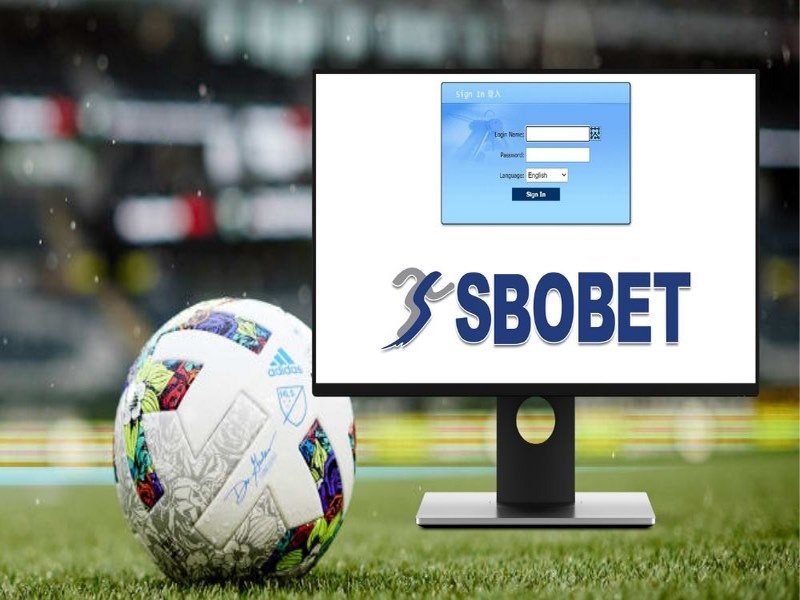 Tìm hiểu thêm về link phụ truy cập nhà cái Sbobet